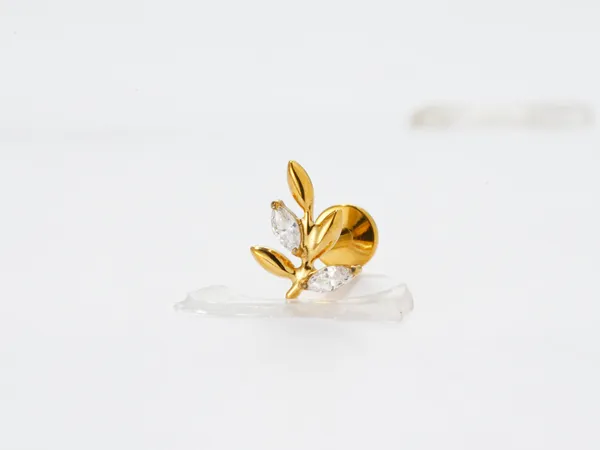 Elegant_Spark_Premium_Titanium_Studs_For_Women