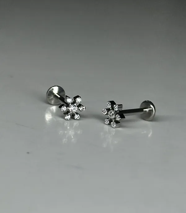 Crystal_Petal_Premium_Titanium_Studs_For_Women