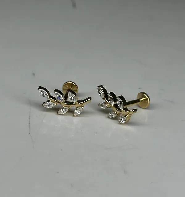 Royal_Radiance_Premium_Titanium_Studs_For_Women