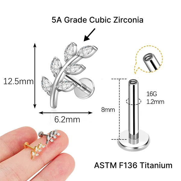 Royal_Radiance_Premium_Titanium_Studs_For_Women
