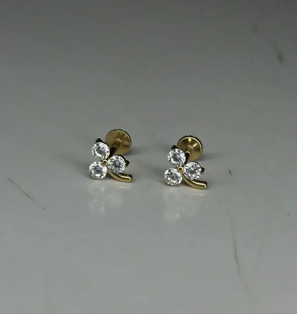 Classic_Luxe_Premium_Titanium_Studs_For_Women