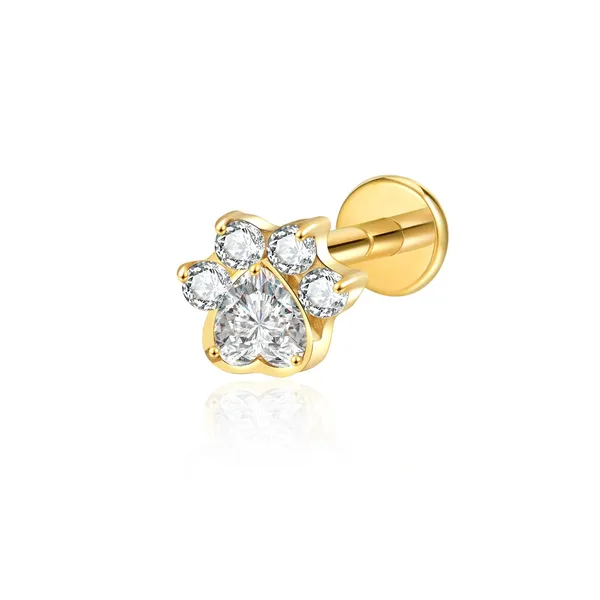 Dainty_Gleam_Premium_Titanium_Studs_For_Women