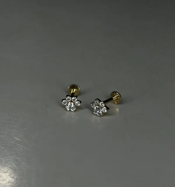 Dainty_Gleam_Premium_Titanium_Studs_For_Women