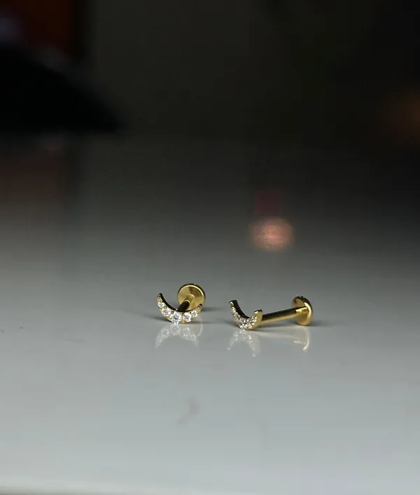 Pure_Elegance_Premium_Titanium_Studs_For_Women