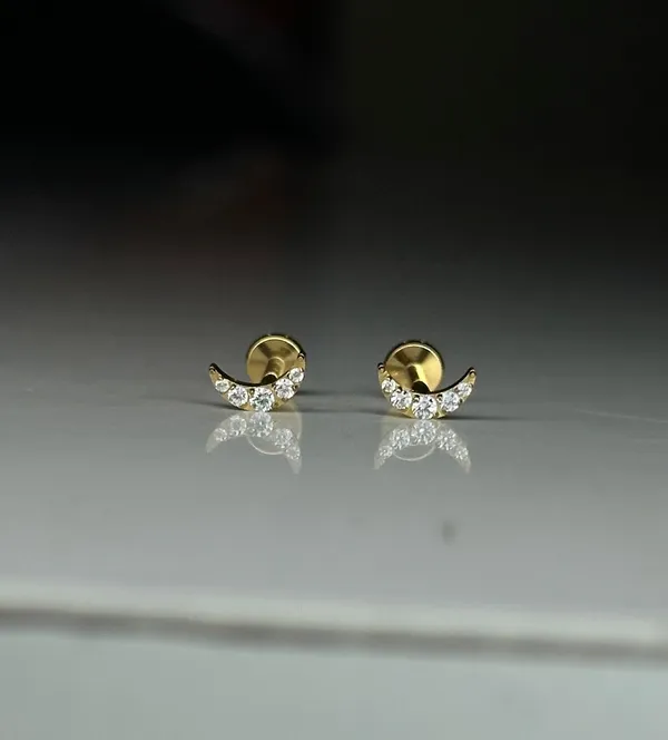 Pure_Elegance_Premium_Titanium_Studs_For_Women