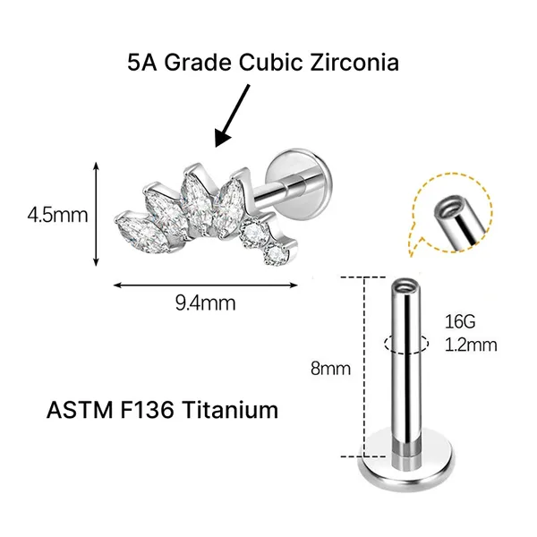 Celeste_Crystal_Titanium_Studs_For_Women