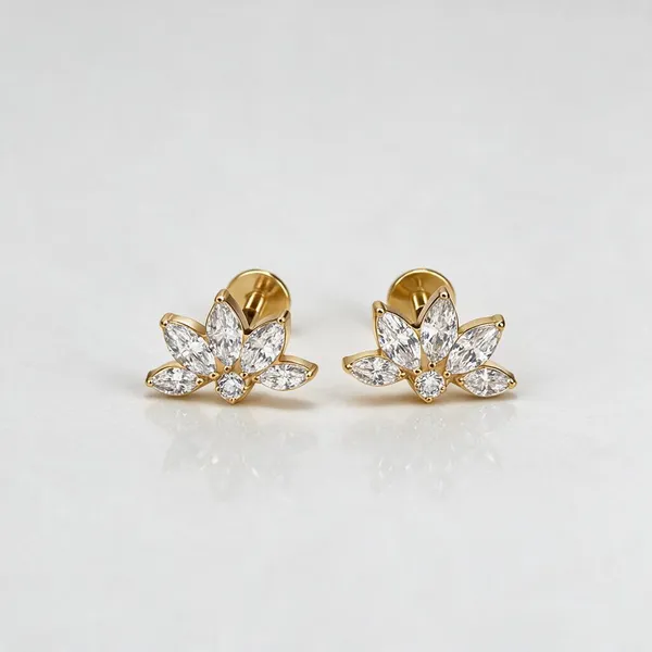 Celestial_Wing_Premium_Titanium_Studs_For_Women