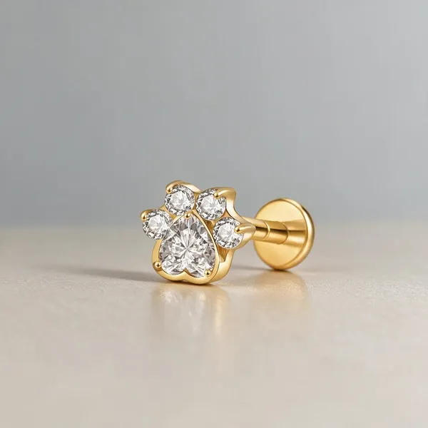 Dainty_Gleam_Premium_Titanium_Studs_For_Women