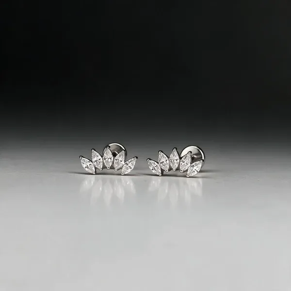 Celeste_Crystal_Titanium_Studs_For_Women