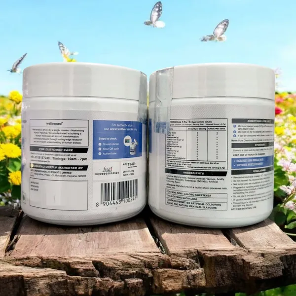 Wellcore_Creatine_Monohydrate_100G