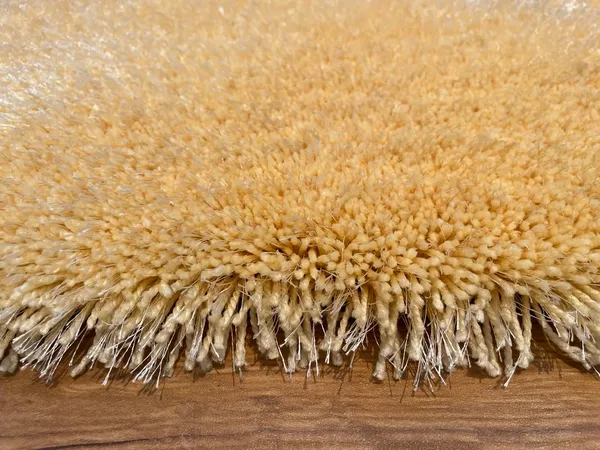 Micro_Polyester_Shag_Solid_Cream_White_Area_Carpet
