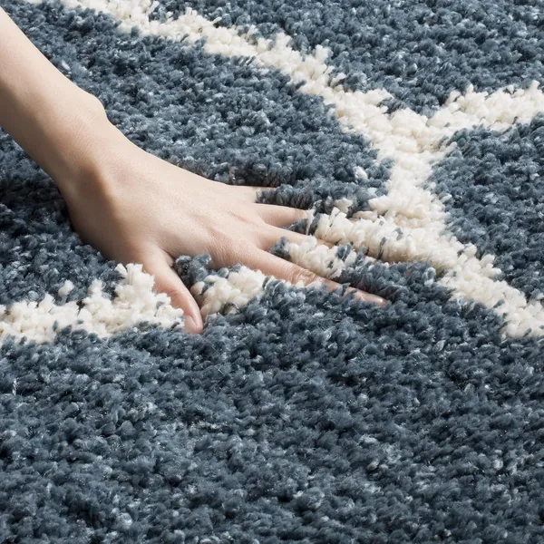 Micro_Polyester_Shaggy_Blue_Salt_Ivory_Plain_Carpet