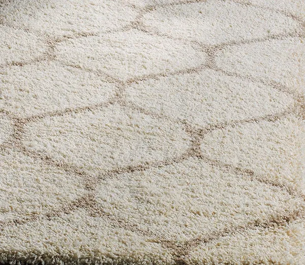 Micro_Polyester_Shaggy_Ivory_Living_Room_Carpet