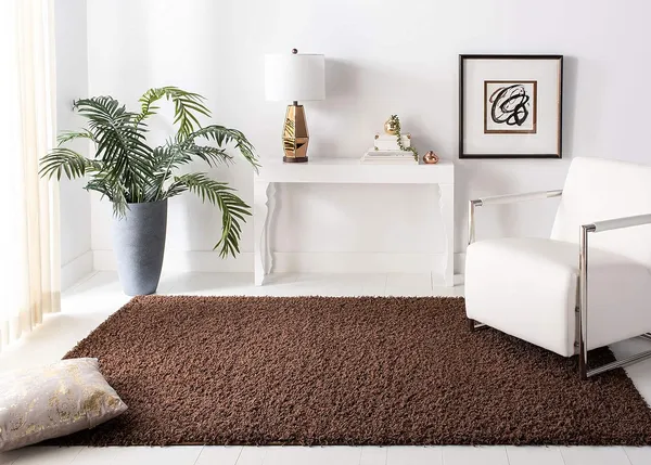 Micro_Polyester_Shag_Solid_Area_Carpet