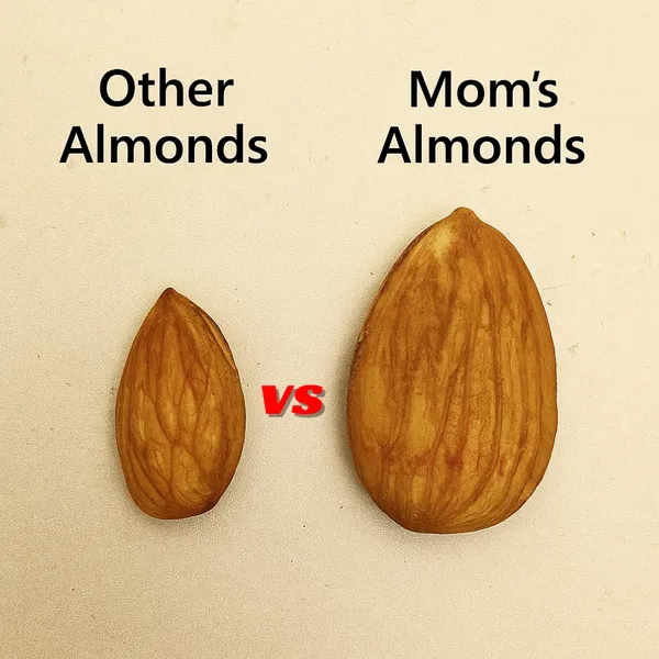 Premium_Super_Bold_Almonds_Badam_Mom_Traders