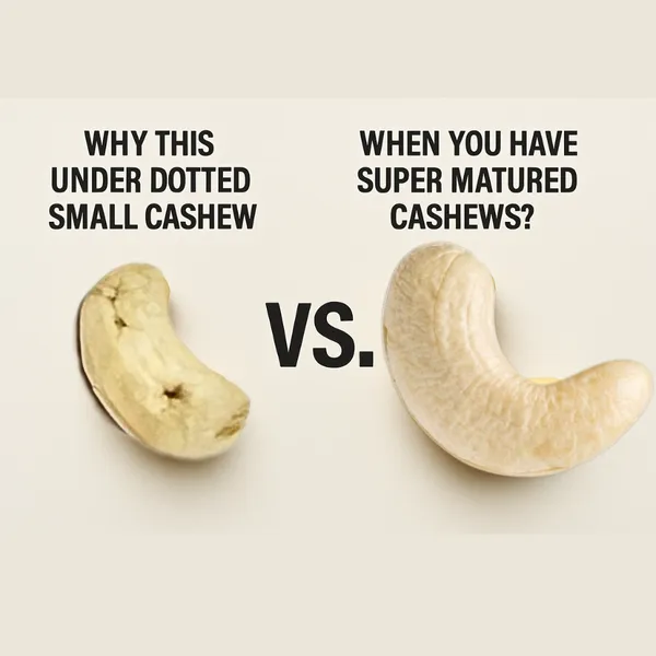 Premium_Whole_Cashews_W_240_Creamy_Fresh_Sustainably_Sourced_Mom_Traders