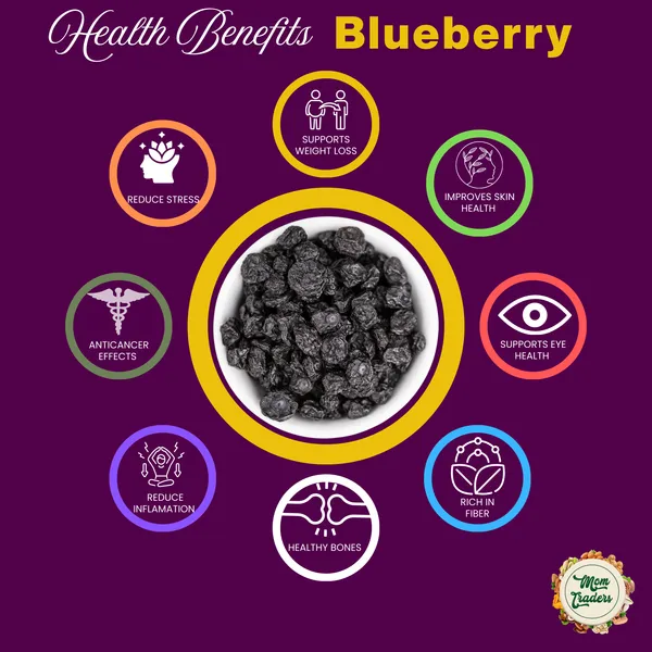 Premium_Dried_Blueberries_Naturally_Sweet_Chewy_Mom_Traders