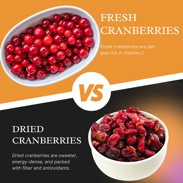 Premium_Dried_Cranberries_Naturally_Sweet_Chewy_Mom_Traders_200_G_-_Pack_of_2