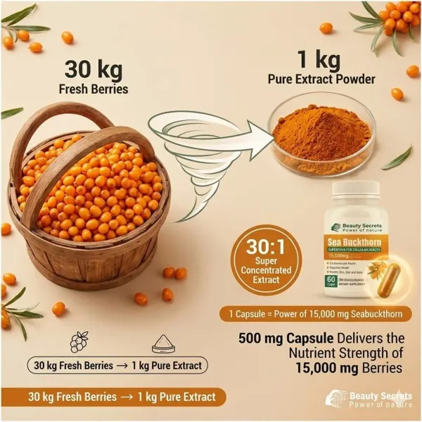 Himalayan_Sea_Buckthorn_Capsules_15000_Mg_Sea_Buckthorn_Berry_Extract_With_Omega_7_High_Potency_Antioxidant_Supplement_For_Immune_Support_Digestive_Heart_Health_60_Veg_Capsules_Pack_3