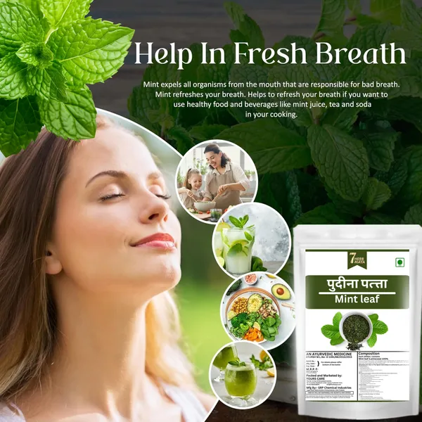 7Herbmaya_Mint_Leaves_|_Dried_Pudina_Leaves_|_Sukha_Pudina_(Dry_Mint_Leaves)_|_Natural_Dried_Mint_for_Chutney,_Chai_&_Cooking