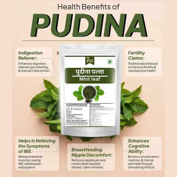 7Herbmaya_Mint_Leaves_|_Dried_Pudina_Leaves_|_Sukha_Pudina_(Dry_Mint_Leaves)_|_Natural_Dried_Mint_for_Chutney,_Chai_&_Cooking