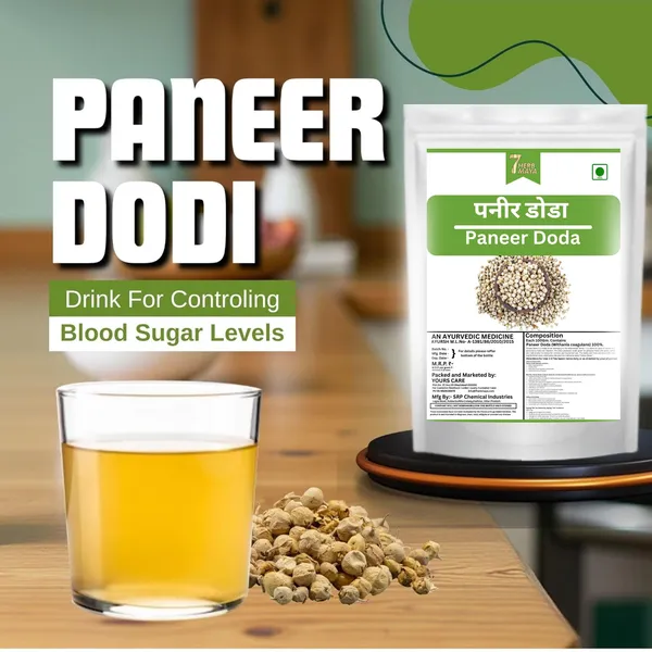7Herbmaya_Paneer_Dodi_Phool|_For_Diabetes_|_Paneer_Doda_|_(Raw)_|__|_Indian_Rennet_Seeds_