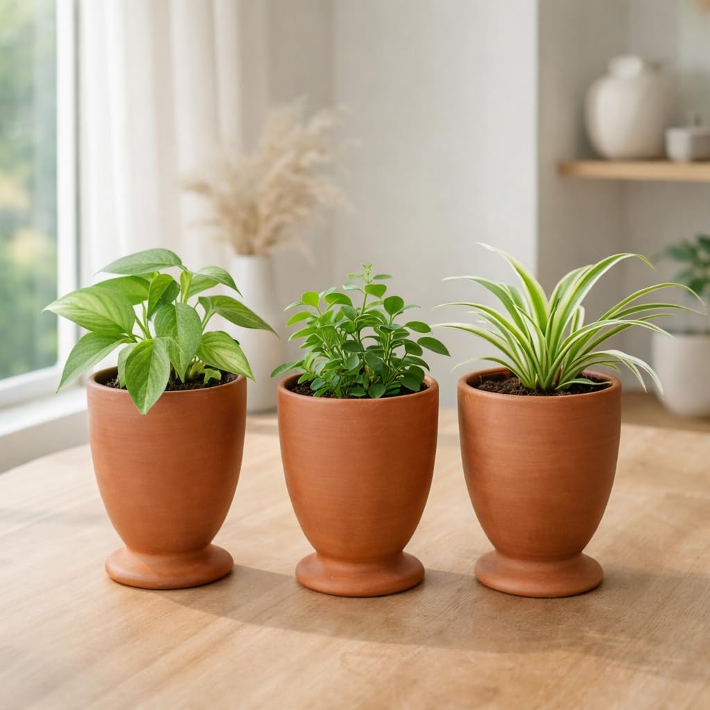 Terracotta_Traditional_Plain_Kulhad_Cup_Set