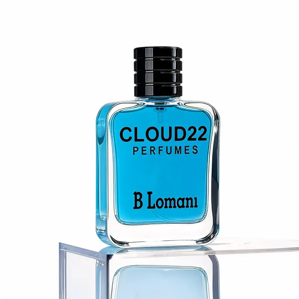 B_Lomani_Inspired_Version_Unisex_Medium_Note_Long_Lasting_Edp_60_Ml