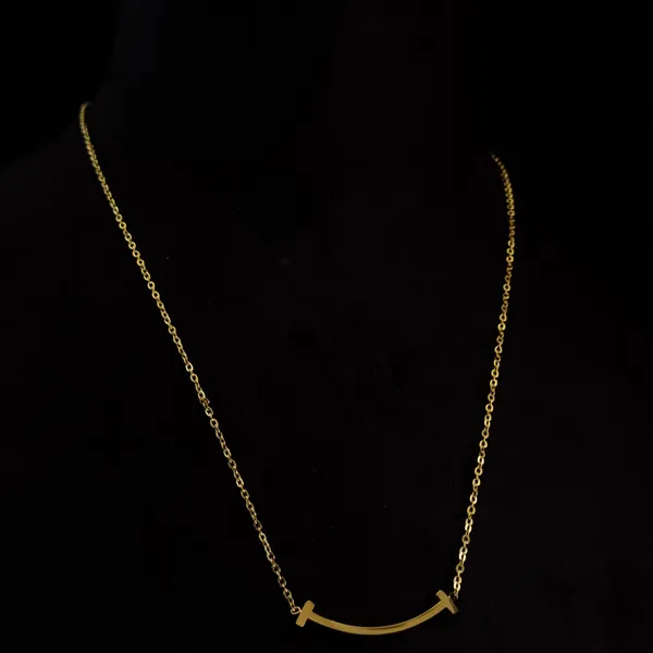 Gold_Stainless_Steel_Curved_Bar_Necklace_For_Women