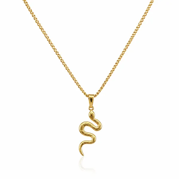 Gold_Stainless_Steel_Serpentine_Charm_Necklace_For_Women