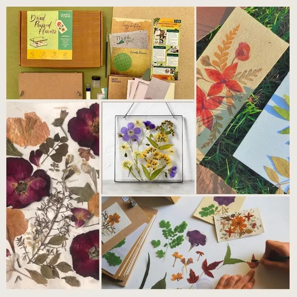 Dried_Pressed_Flowers