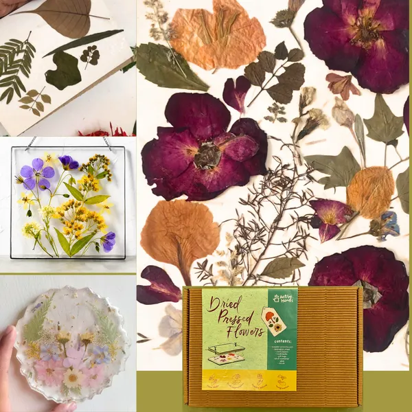 Dried_Pressed_Flowers