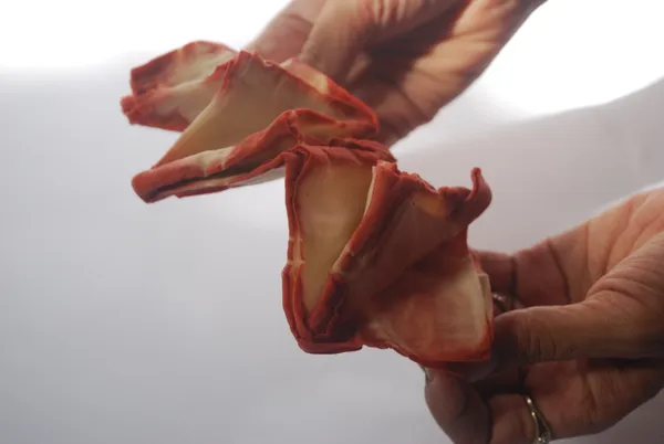 Natural_Dye_Bag