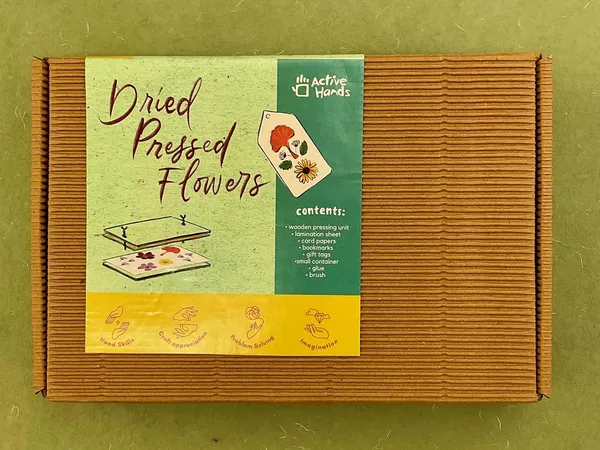 Diy_Art_And_Craft_Gift_Kit_Dried_Press_Flower_Arrangement_Hobby_Craft_Kit_Multicolor
