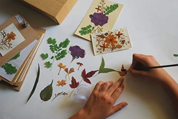 Diy_Art_And_Craft_Gift_Kit_Dried_Press_Flower_Arrangement_Hobby_Craft_Kit_Multicolor