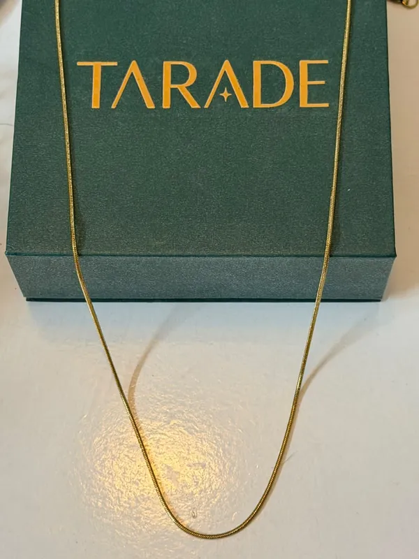 Gold_Plated_Stainless_Steel_Minimal_Chain_Necklace_For_Women