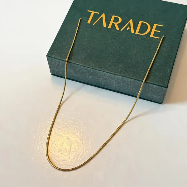 Gold_Plated_Stainless_Steel_Minimal_Chain_Necklace_For_Women