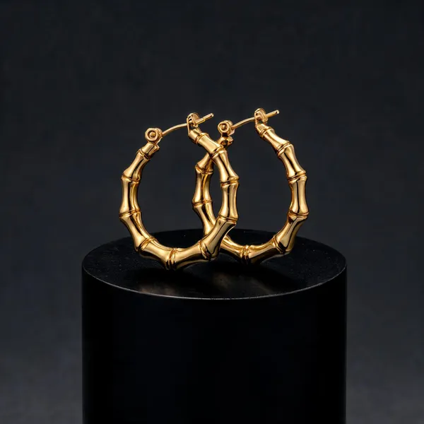 Gold_Plated_Stainless_Steel_Hoop_Earrings_Set_For_Women