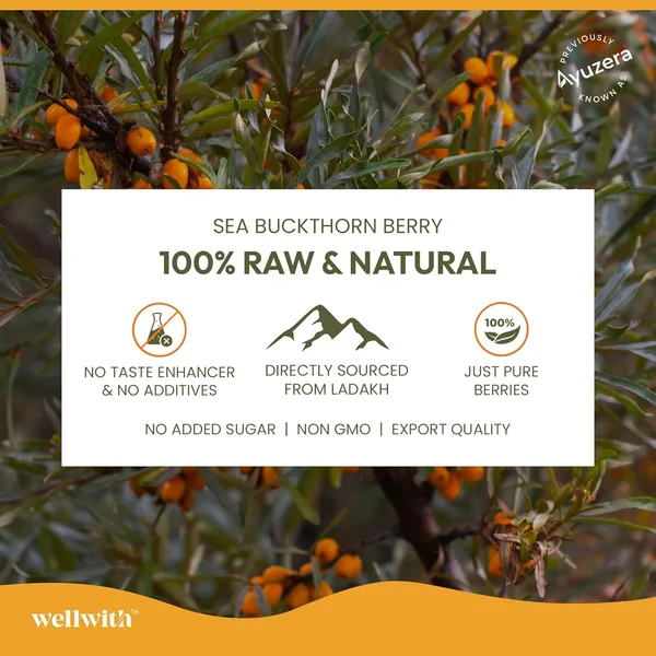 Wellwith_By_Ayuzera_Himalayan_Seabuckthorn_Pulp_Juice_300ml_Cold_Pressed_Daily_Wellness_Drink_Natural_Vitamin_C_Omegas_Antioxidants_For_Immunity_Skin_Radiance_Gut_Wellness