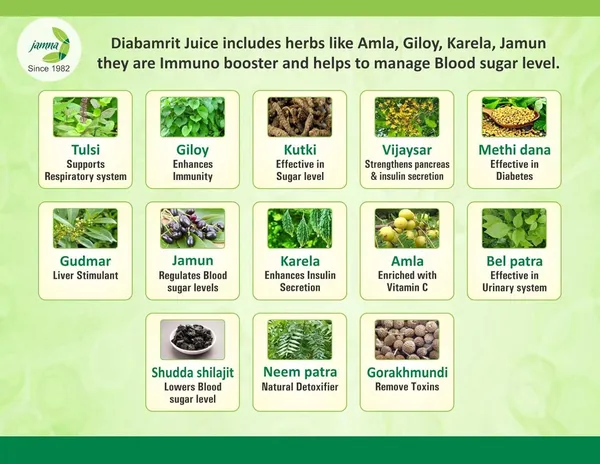 Jamna_Herbal_Diabamrit_Juice_–_1L_|_Herbal_Blend_with_Traditional_Ingredients_for_Daily_Routine_|_Rich_in_Natural_Goodness_and_Flavorful_Taste