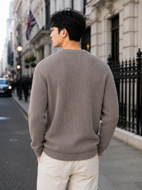 Freaks_Men’s_Textured_Knit_Crew_Neck_Sweater_|_Full_Sleeve_Winter_Pullover_for_Men