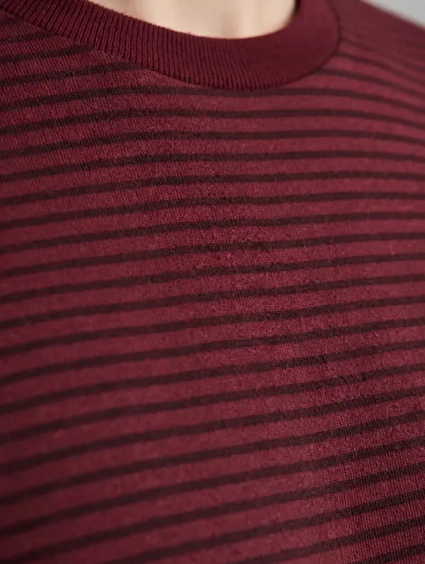 Men_Maroon_Striped_T-Shirt