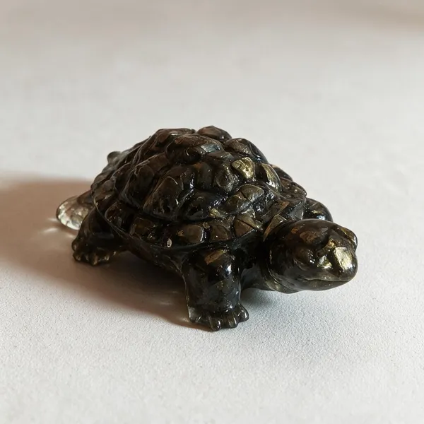 Pyrite_Turtle