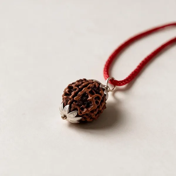 Five_Mukhi_Rudraksha