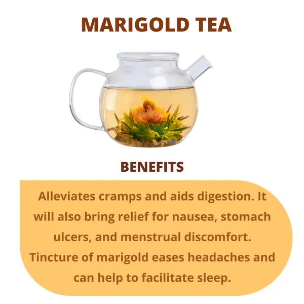 Marigold_Flower_Herbal_Tea_Pack_Of_3