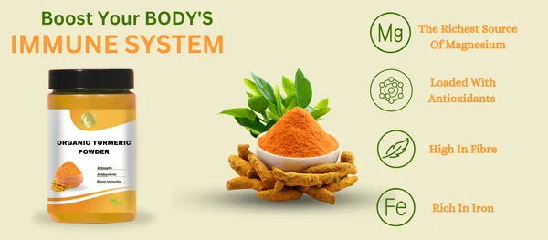 Organic_Turmeric_Powder_100G_-_Pack_of_3