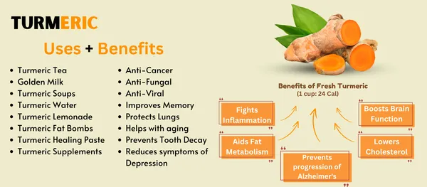 Organic_Turmeric_Powder_100G_-_Pack_of_3
