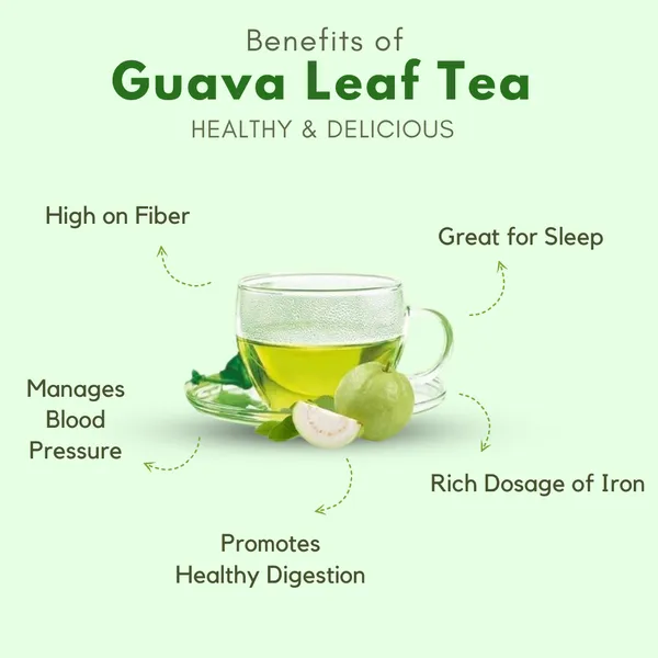 Guava_Leaves_Herbal_Tea