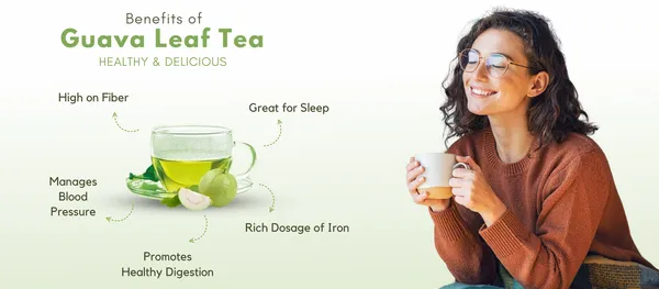 Guava_Leaves_Herbal_Tea