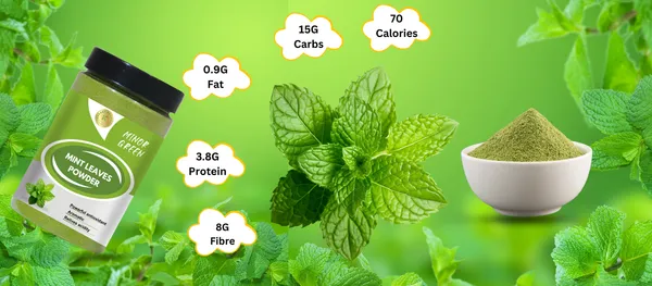 Mint_Coriander_Curry_Betel_Basil_Leaves_Powder_Combo_100G_Each